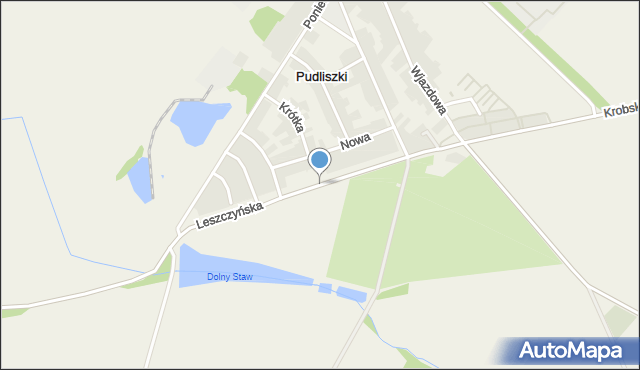 Pudliszki, Leszczyńska, mapa Pudliszki