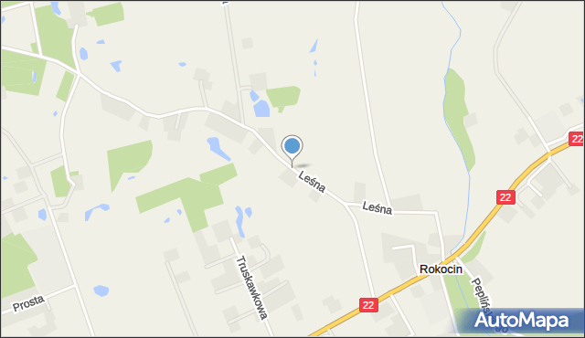 Rokocin, Leśna, mapa Rokocin