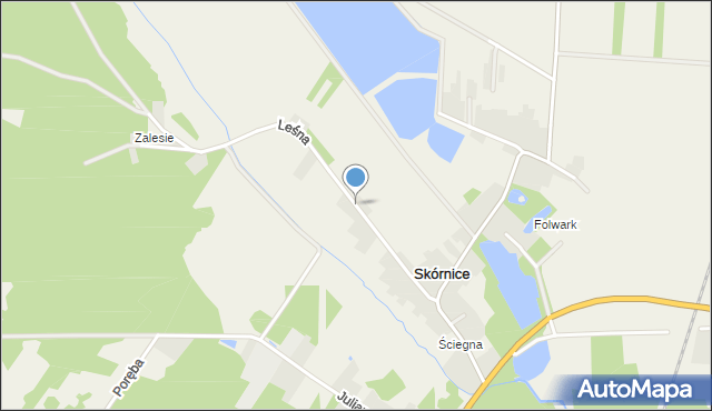 Skórnice, Leśna, mapa Skórnice