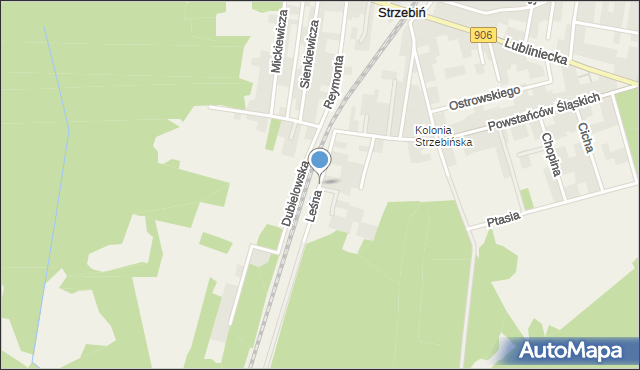 Strzebiń, Leśna, mapa Strzebiń