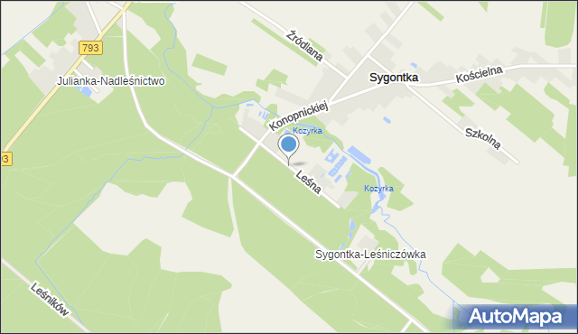 Sygontka, Leśna, mapa Sygontka