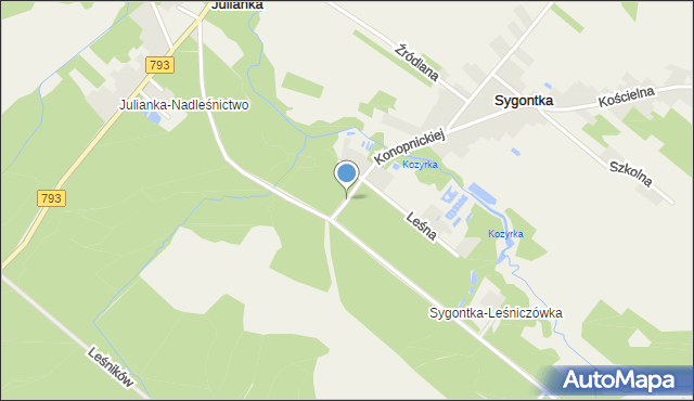 Sygontka, Leśników, mapa Sygontka