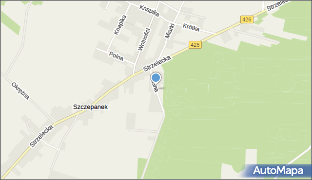Szczepanek gmina Strzelce Opolskie, Leśna, mapa Szczepanek gmina Strzelce Opolskie
