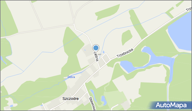 Szczodre, Leśna, mapa Szczodre