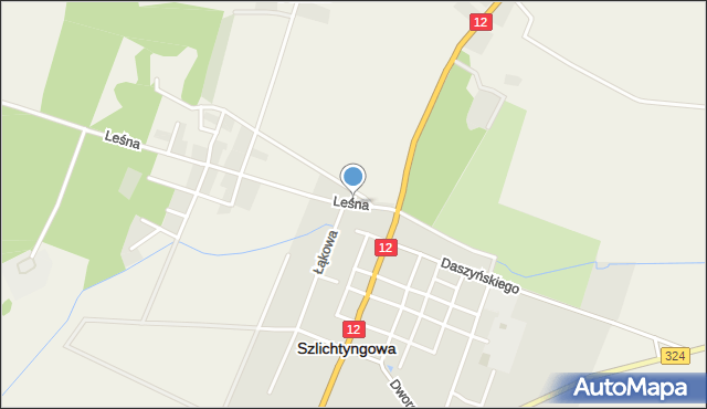 Szlichtyngowa, Leśna, mapa Szlichtyngowa