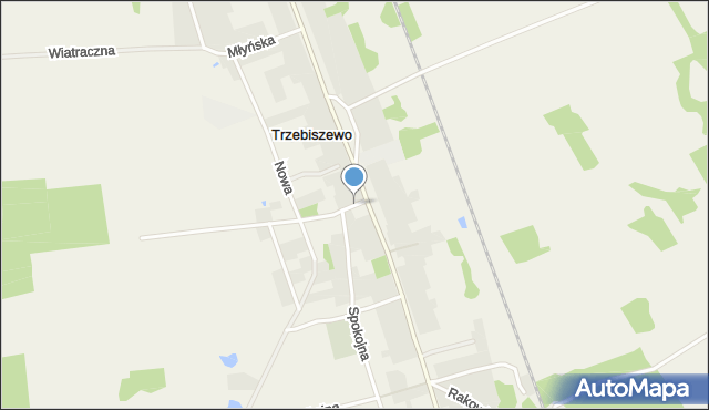 Trzebiszewo, Leśna, mapa Trzebiszewo