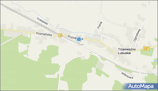 Trzemeszno Lubuskie, Leśna, mapa Trzemeszno Lubuskie