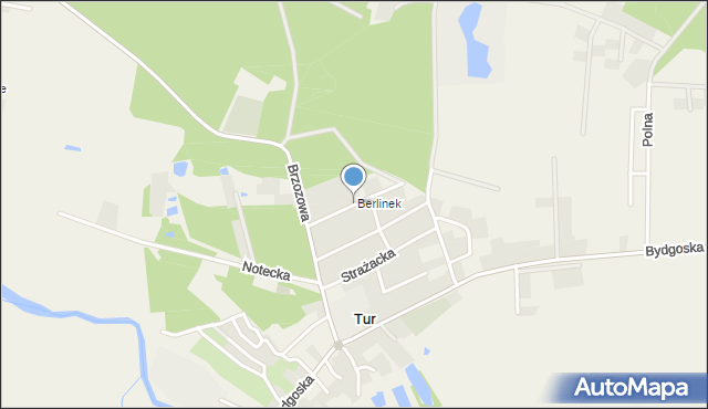 Tur gmina Szubin, Leśna, mapa Tur gmina Szubin