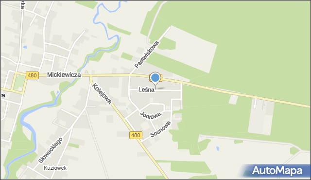 Widawa powiat łaski, Leśna, mapa Widawa powiat łaski