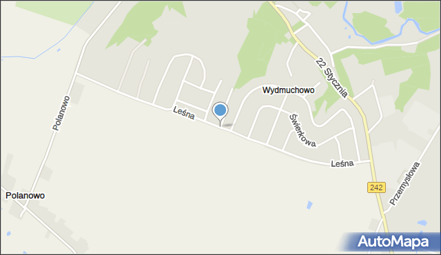 Wyrzysk, Leśna, mapa Wyrzysk