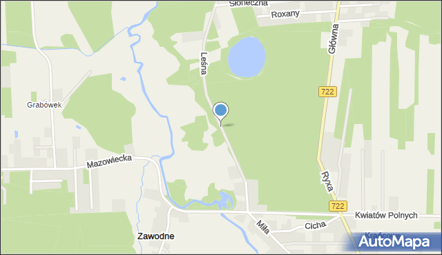 Zawodne, Leśna, mapa Zawodne