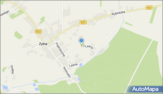 Żytna, Leśna, mapa Żytna