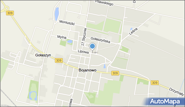 Bojanowo powiat rawicki, Lipowa, mapa Bojanowo powiat rawicki