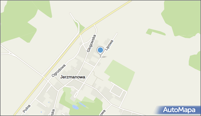 Jerzmanowa, Lipowa, mapa Jerzmanowa