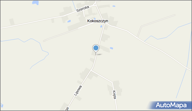 Kokoszczyn gmina Tarnowo Podgórne, Lipowa, mapa Kokoszczyn gmina Tarnowo Podgórne