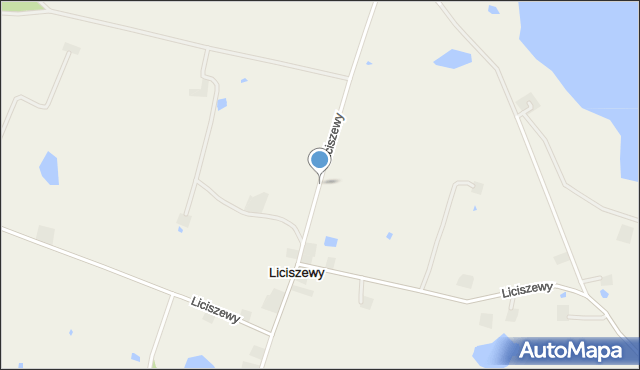 Liciszewy, Liciszewy, mapa Liciszewy