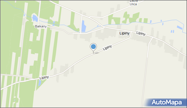 Lipiny gmina Adamów, Lipiny, mapa Lipiny gmina Adamów