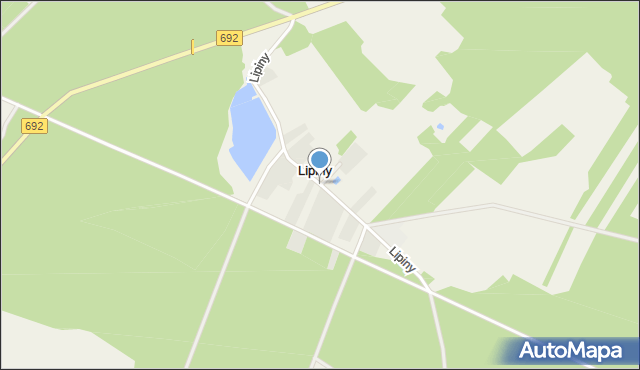 Lipiny gmina Dziadkowice, Lipiny, mapa Lipiny gmina Dziadkowice