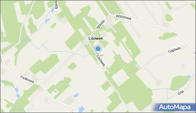 Lisówek gmina Żabia Wola, Lisówek, mapa Lisówek gmina Żabia Wola