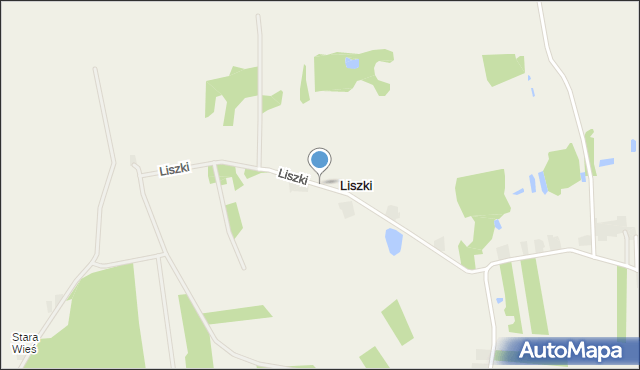 Liszki gmina Łęczyca, Liszki, mapa Liszki gmina Łęczyca