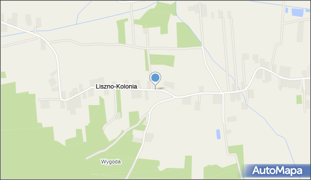 Liszno-Kolonia, Liszno-Kolonia, mapa Liszno-Kolonia