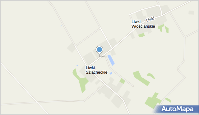 Liwki Szlacheckie, Liwki Szlacheckie, mapa Liwki Szlacheckie