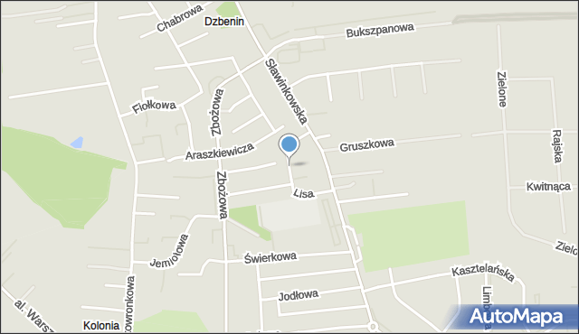 Lublin, Lisa Jana, mapa Lublina