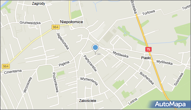 Niepołomice, Litewska, mapa Niepołomice