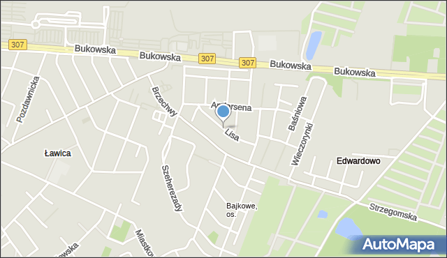 Poznań, Lisa Witalisa, mapa Poznania
