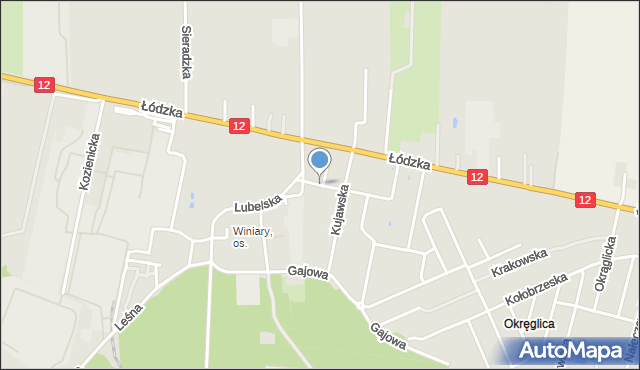 Kalisz, Łowicka, mapa Kalisza