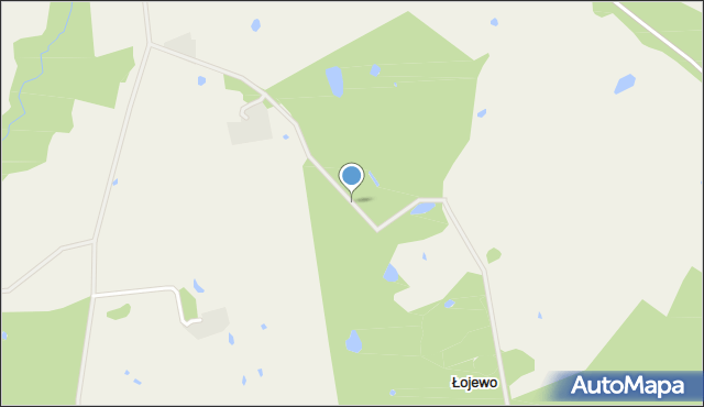 Łojewo gmina Płoskinia, Łojewo, mapa Łojewo gmina Płoskinia