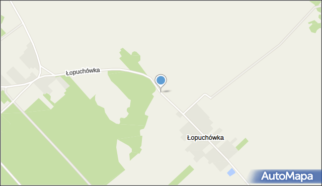 Łopuchówka, Łopuchówka, mapa Łopuchówka