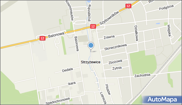 Strzyżewice gmina Święciechowa, Lotnicza, mapa Strzyżewice gmina Święciechowa