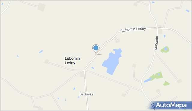 Lubomin Leśny, Lubomin Leśny, mapa Lubomin Leśny