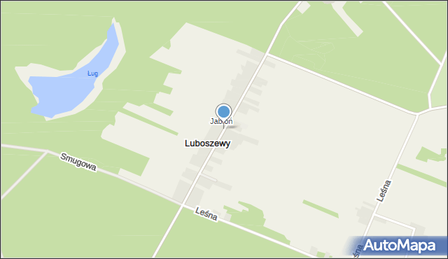 Luboszewy, Luboszewy, mapa Luboszewy