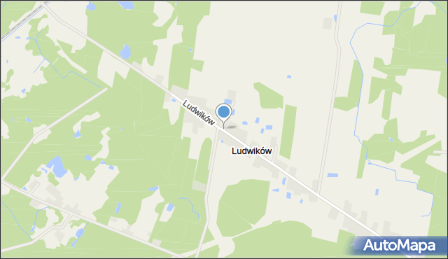 Ludwików gmina Łąck, Ludwików, mapa Ludwików gmina Łąck