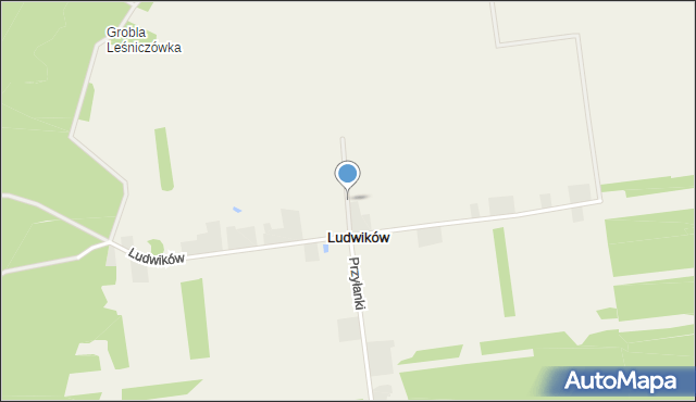 Ludwików gmina Przedbórz, Ludwików, mapa Ludwików gmina Przedbórz