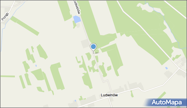 Ludwinów gmina Jakubów, Ludwinów, mapa Ludwinów gmina Jakubów