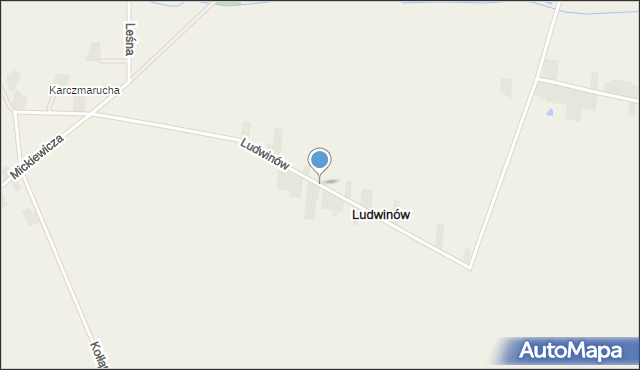 Ludwinów gmina Łubnice, Ludwinów, mapa Ludwinów gmina Łubnice