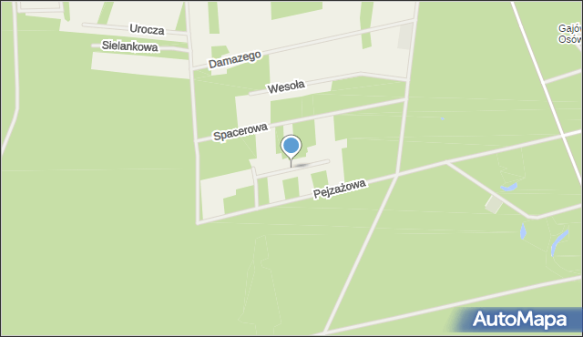 Kamieńczyk gmina Wyszków, Malownicza, mapa Kamieńczyk gmina Wyszków