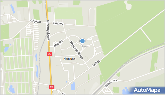 Konin, Malczewskiego Jacka, mapa Konina