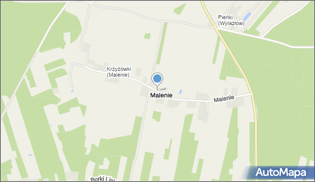 Malenie gmina Poddębice, Malenie, mapa Malenie gmina Poddębice