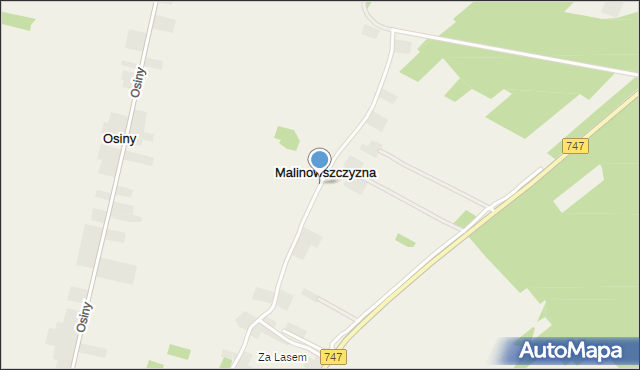 Malinowszczyzna gmina Bełżyce, Malinowszczyzna, mapa Malinowszczyzna gmina Bełżyce