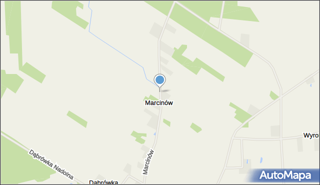 Marcinów gmina Dalików, Marcinów, mapa Marcinów gmina Dalików