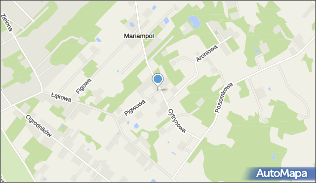 Mariampol gmina Jaktorów, Mariampol, mapa Mariampol gmina Jaktorów
