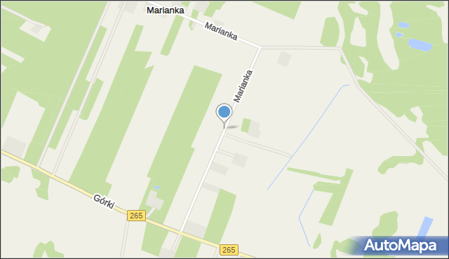 Marianka gmina Gostynin, Marianka, mapa Marianka gmina Gostynin