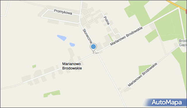 Marianowo Brodowskie, Marianowo Brodowskie, mapa Marianowo Brodowskie