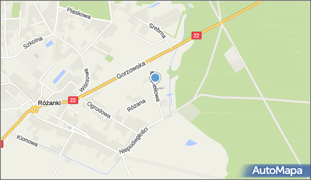 Różanki gmina Kłodawa, Magnoliowa, mapa Różanki gmina Kłodawa