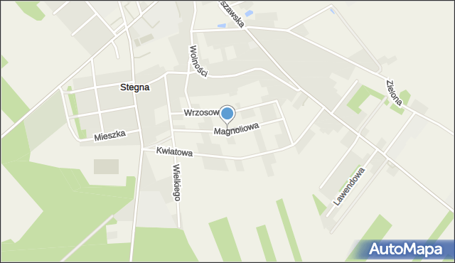 Stegna gmina Jednorożec, Magnoliowa, mapa Stegna gmina Jednorożec