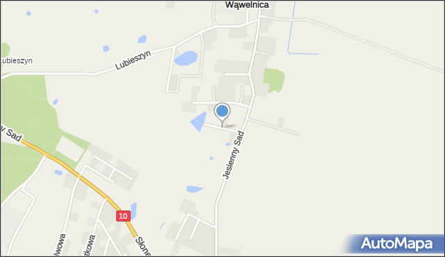 Wąwelnica, Magiczna, mapa Wąwelnica